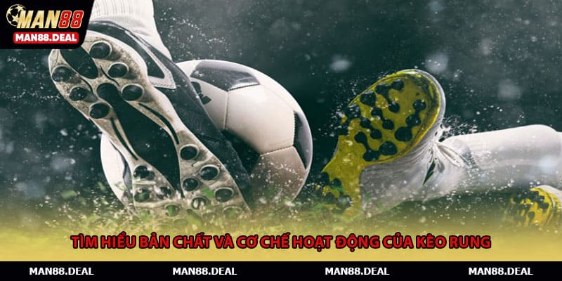 Tìm hiểu bản chất và cơ chế hoạt động của kèo rung